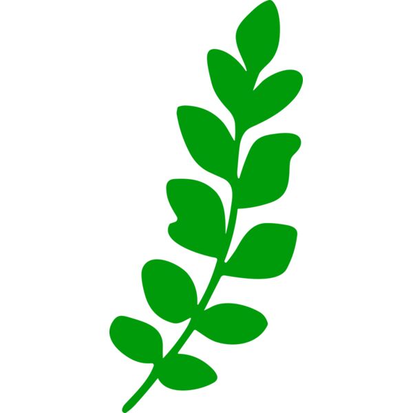 Leaves Thumbnail